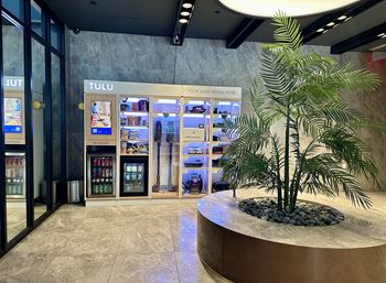 the lobby of a tua store with a palm tree in the center